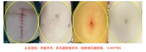 微信圖片_20220713112332.jpg 微信圖片_20220713112332.jpg